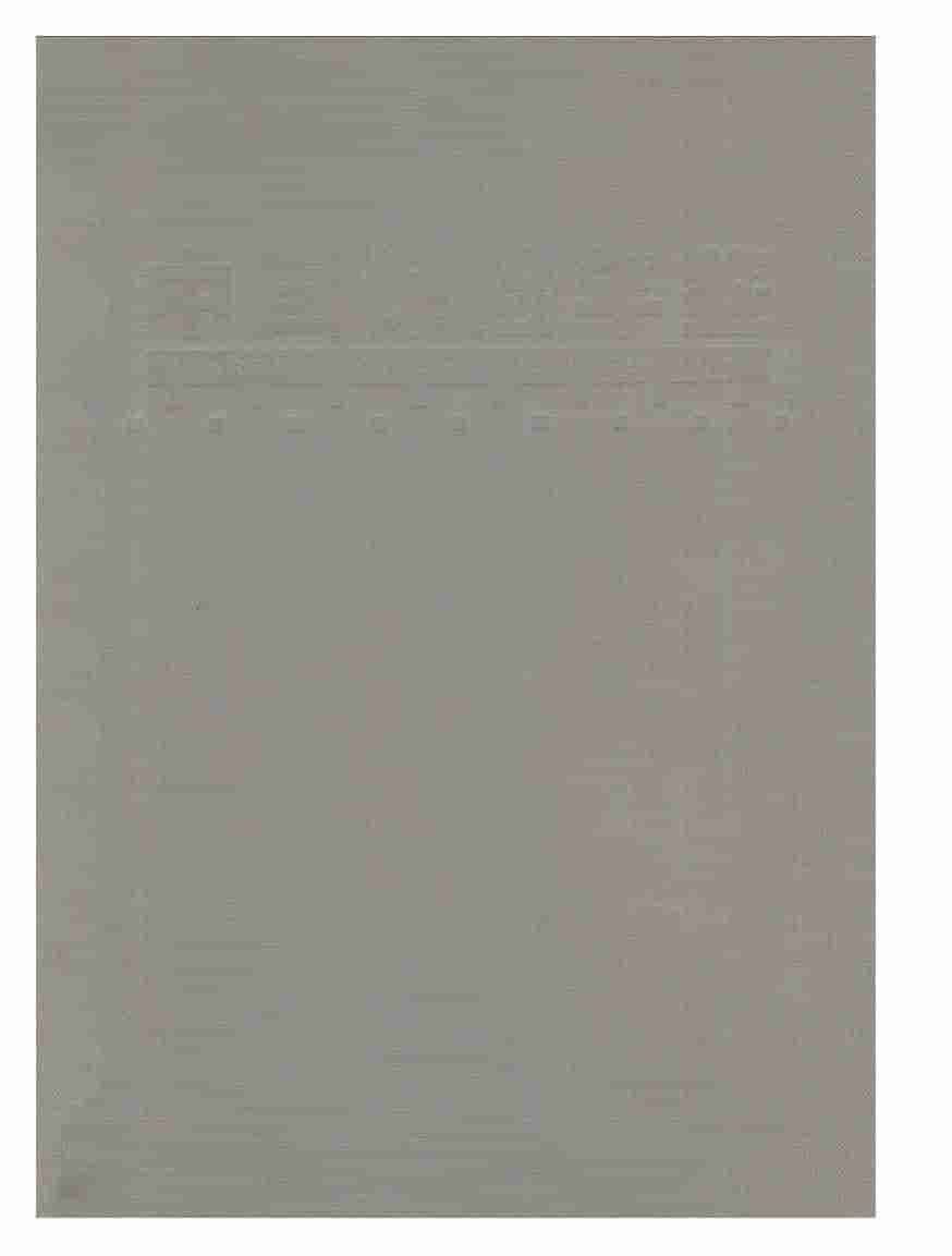 2004年中国保险年鉴