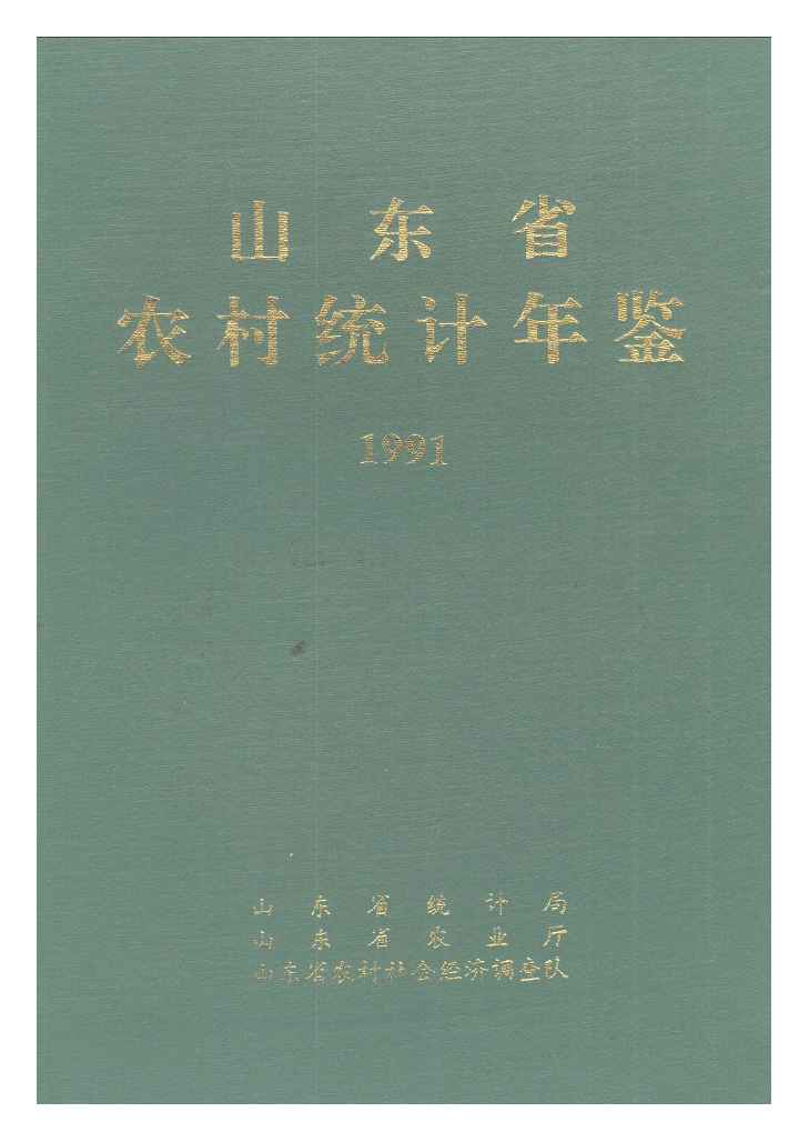 1991年山东省农村统计年鉴