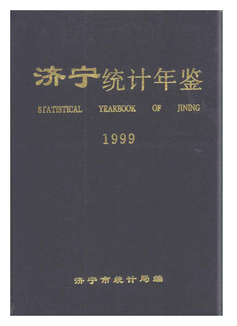 1999年济宁统计年鉴