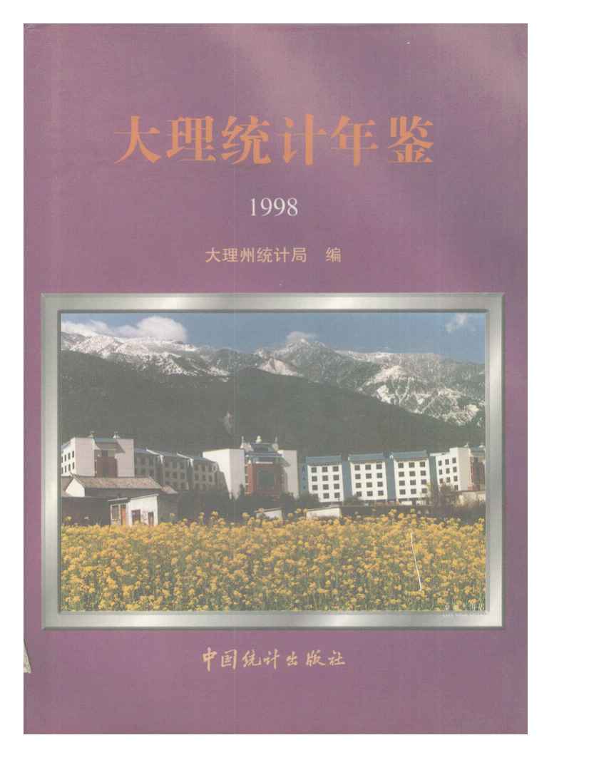 1998年大理统计年鉴