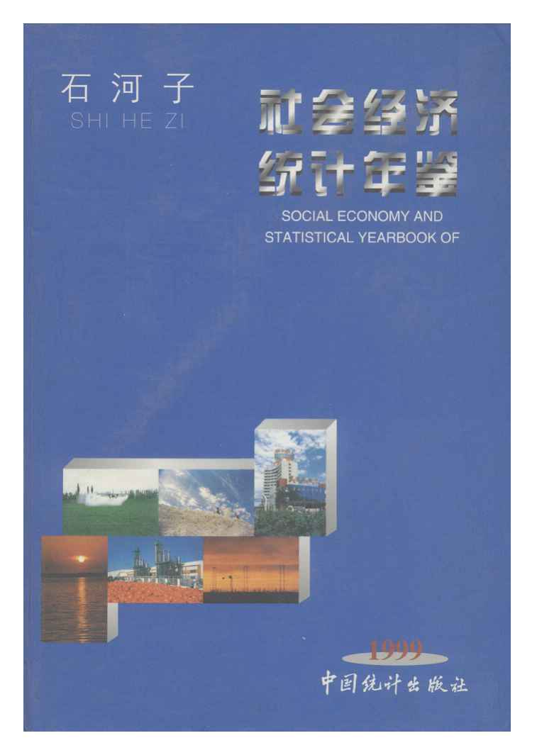 1999年石河子社会经济统计年鉴
