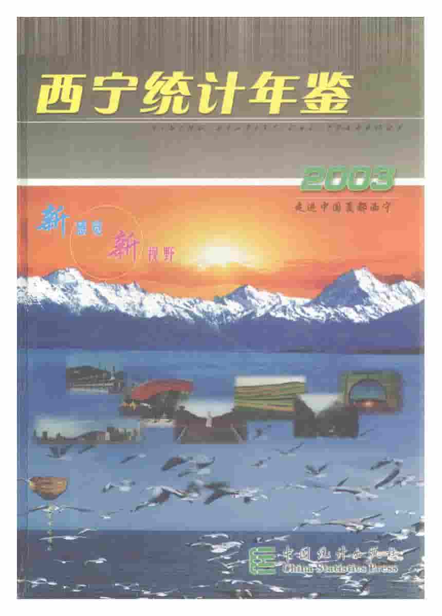 2003年西宁统计年鉴