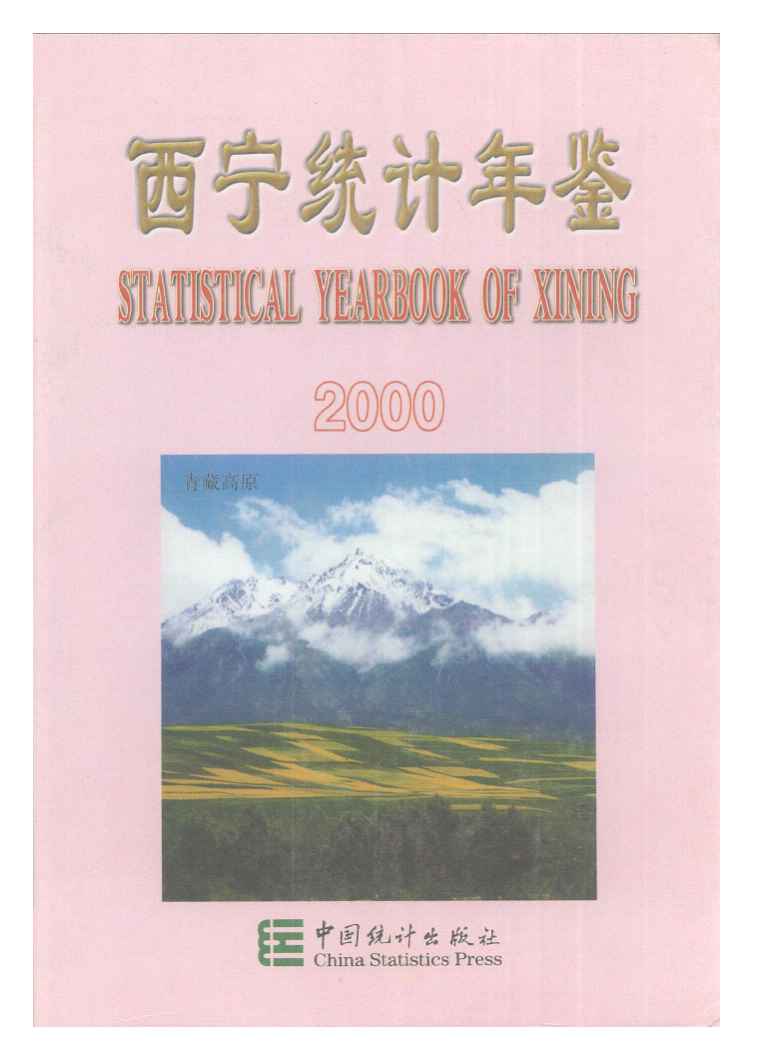 2000年西宁统计年鉴