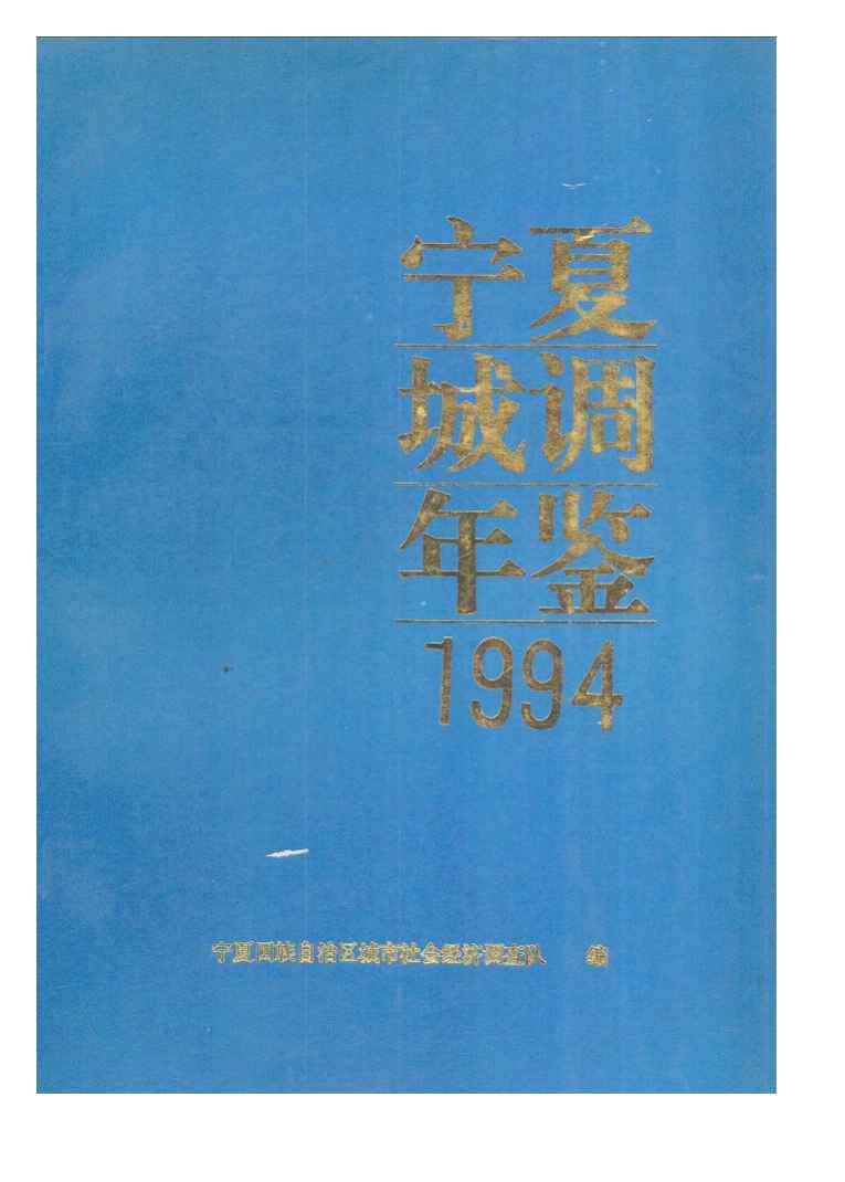 1994年宁夏城调年鉴