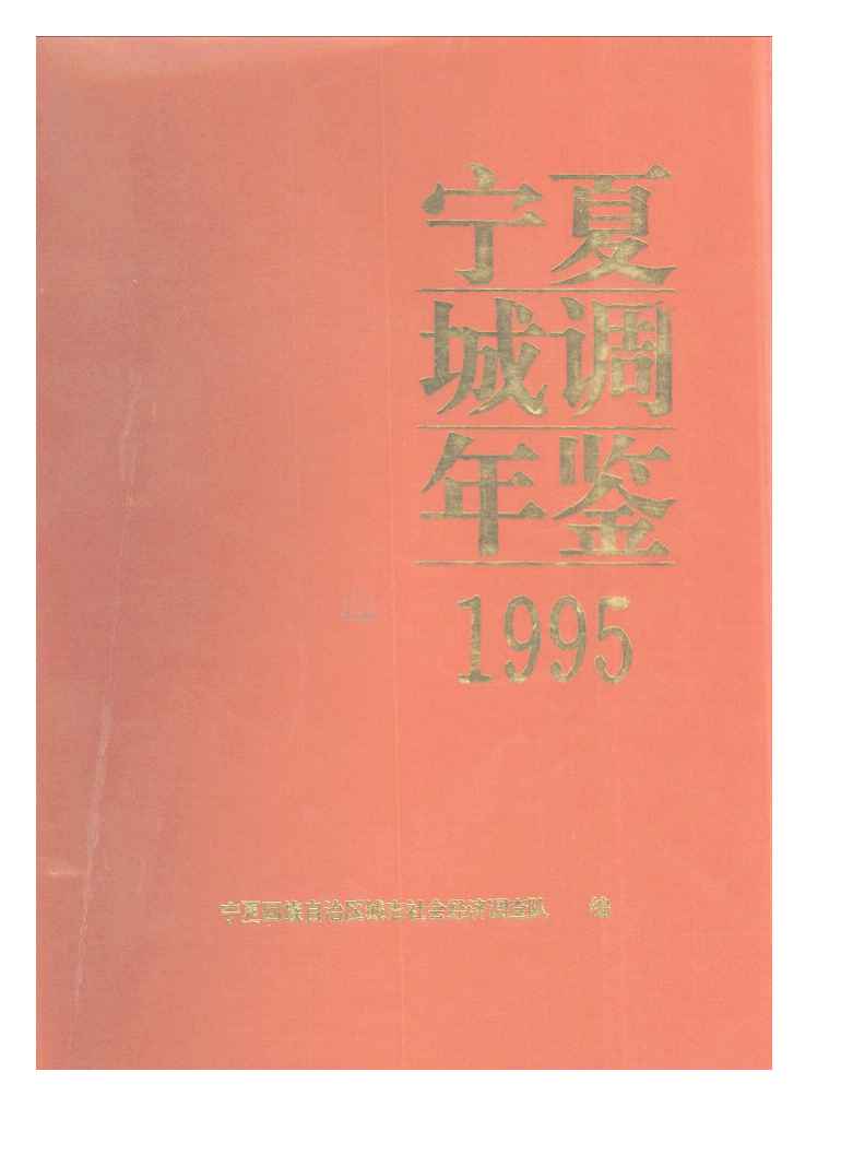 1995年宁夏城调年鉴