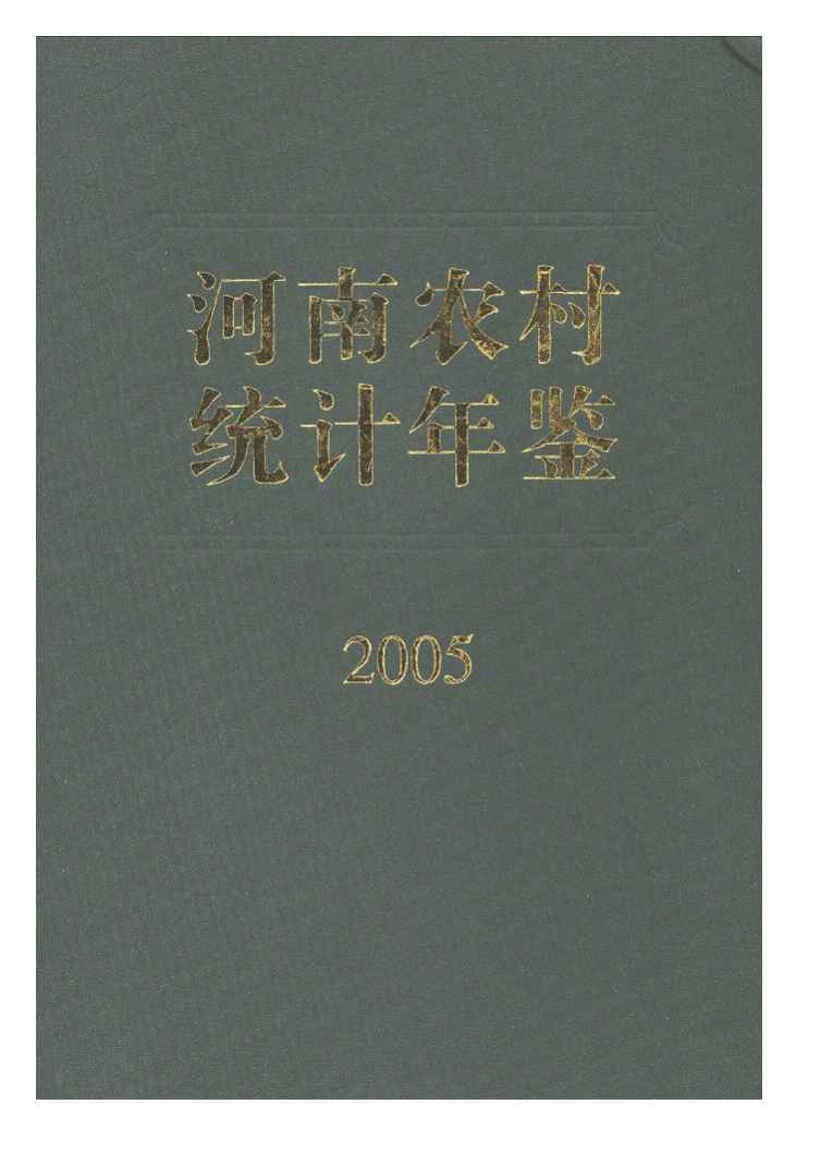 2005年河南农村统计年鉴