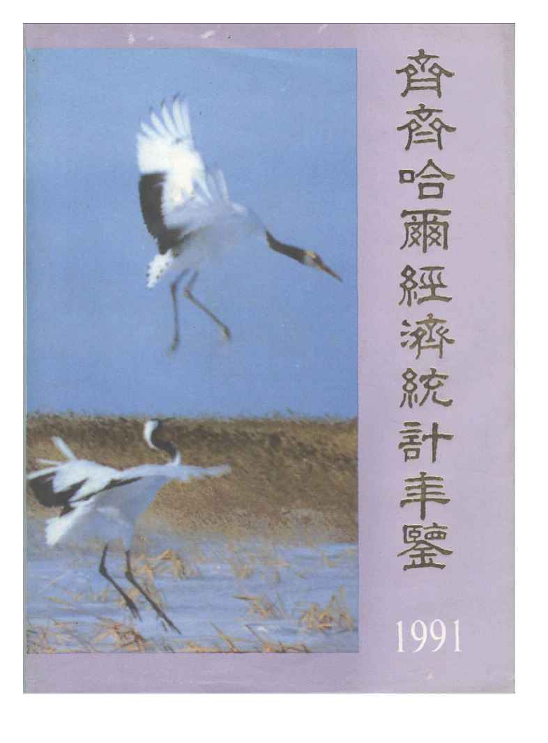 1991年齐齐哈尔经济统计年鉴