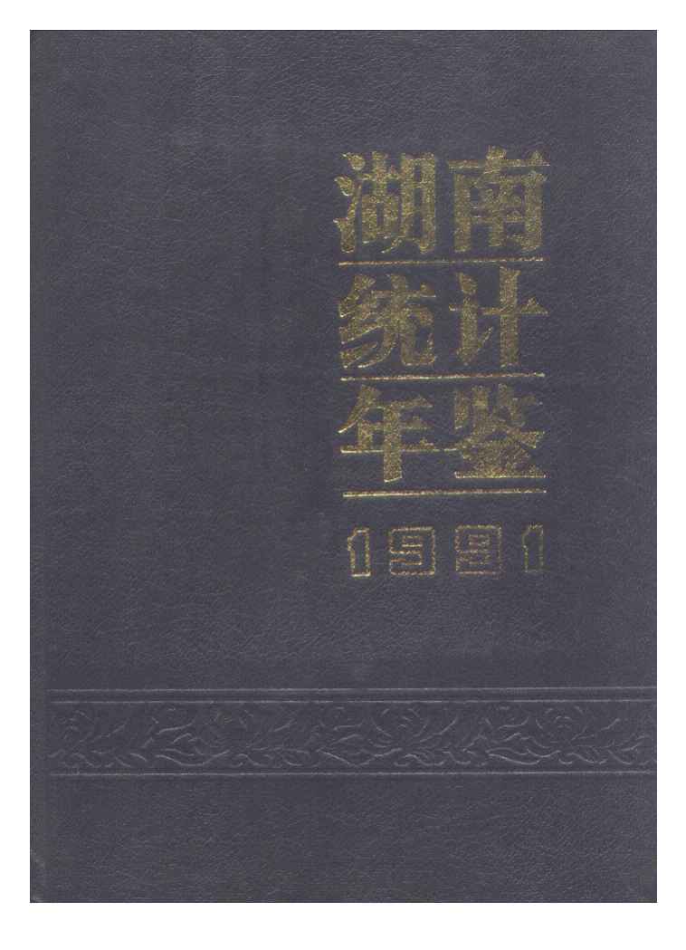 1991年湖南统计年鉴