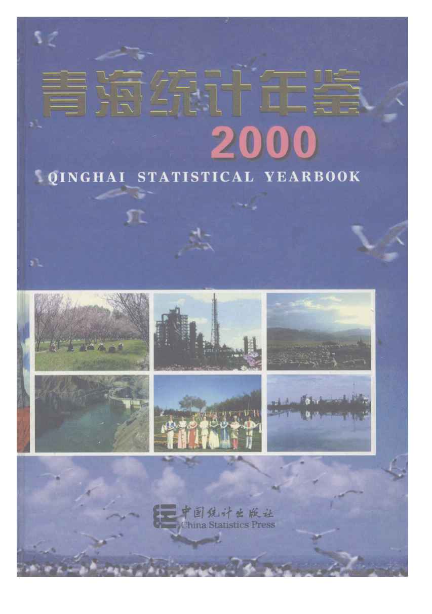 2000年青海统计年鉴