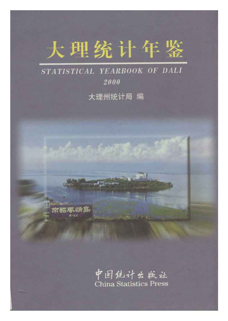 2000年大理统计年鉴