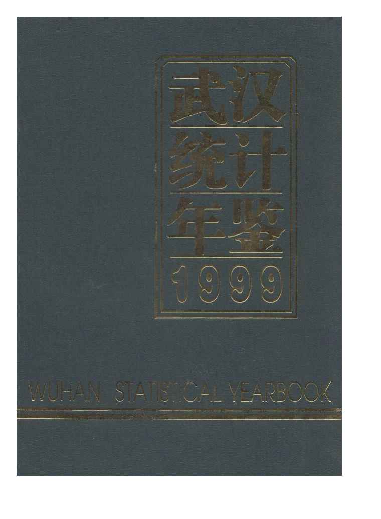 1999年武汉统计年鉴