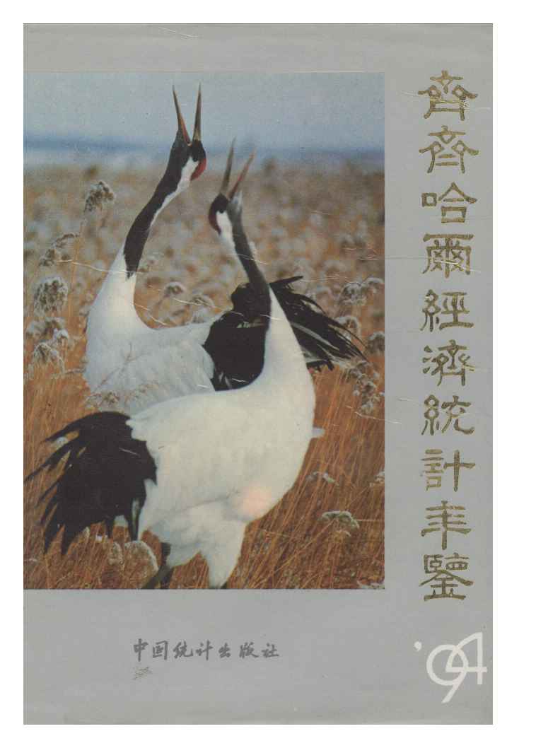 1994年齐齐哈尔经济统计年鉴