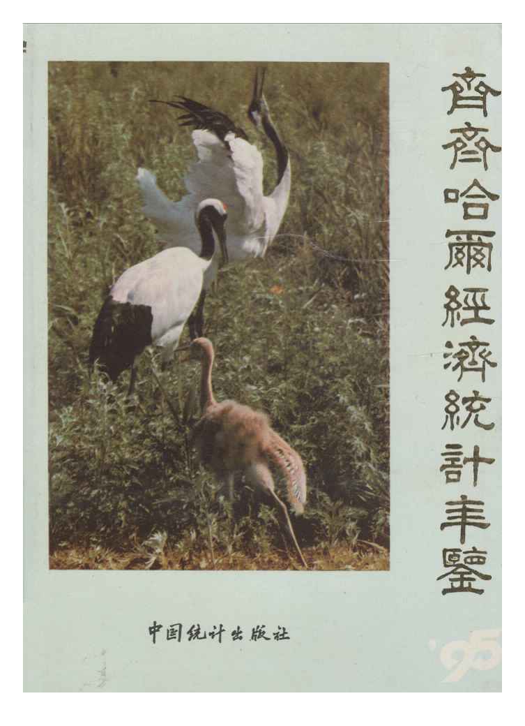 1995年齐齐哈尔经济统计年鉴