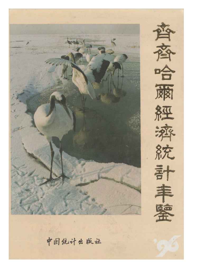 1996年齐齐哈尔经济统计年鉴