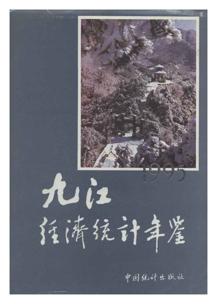 1995年九江经济统计年鉴