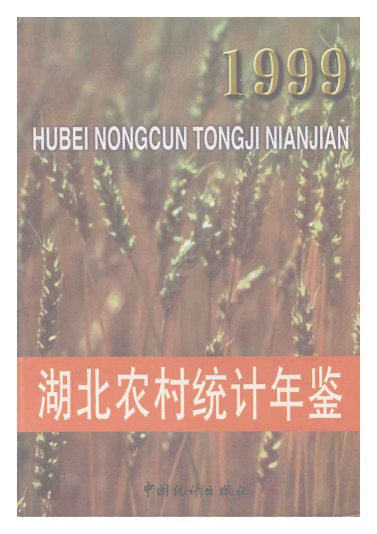 1999年湖北农村统计年鉴