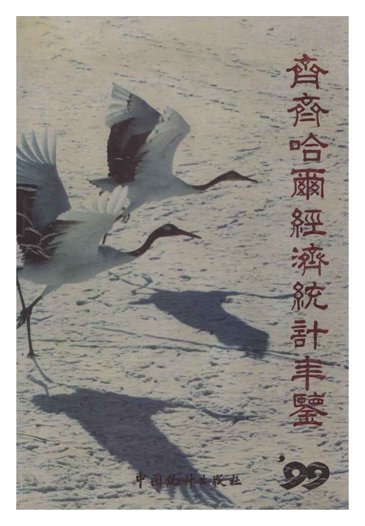 1999年齐齐哈尔经济统计年鉴