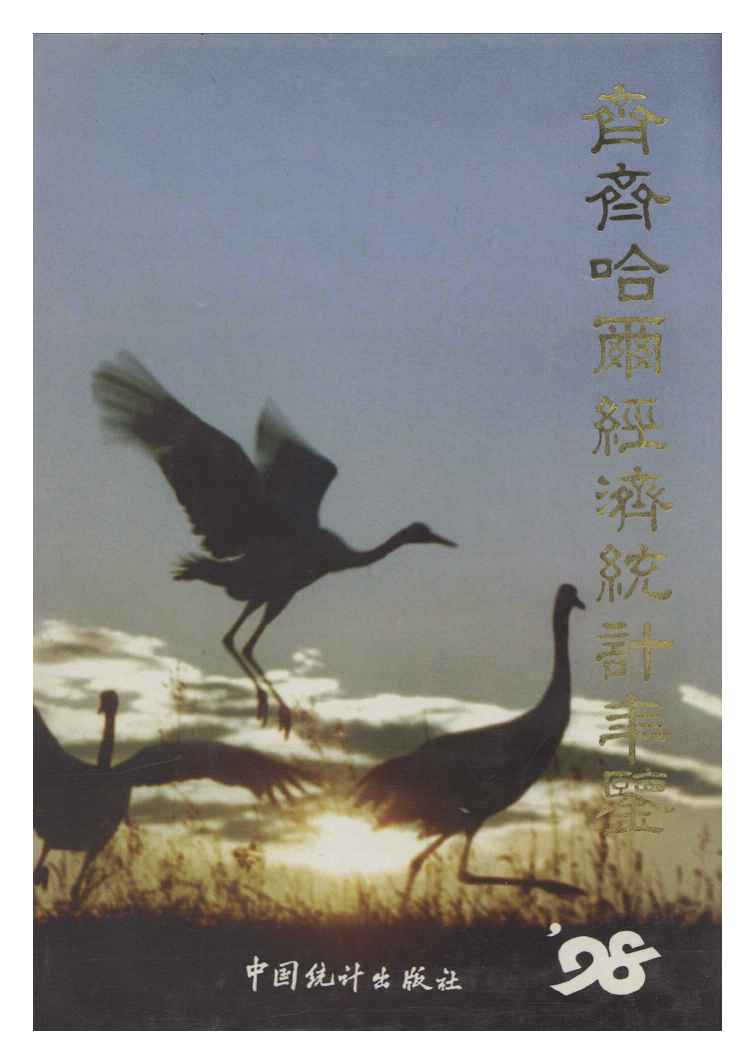 1998年齐齐哈尔经济统计年鉴
