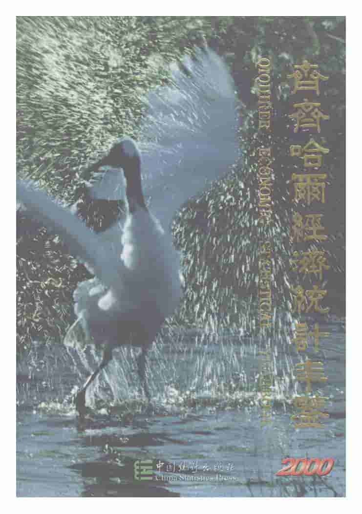 2000年齐齐哈尔经济统计年鉴