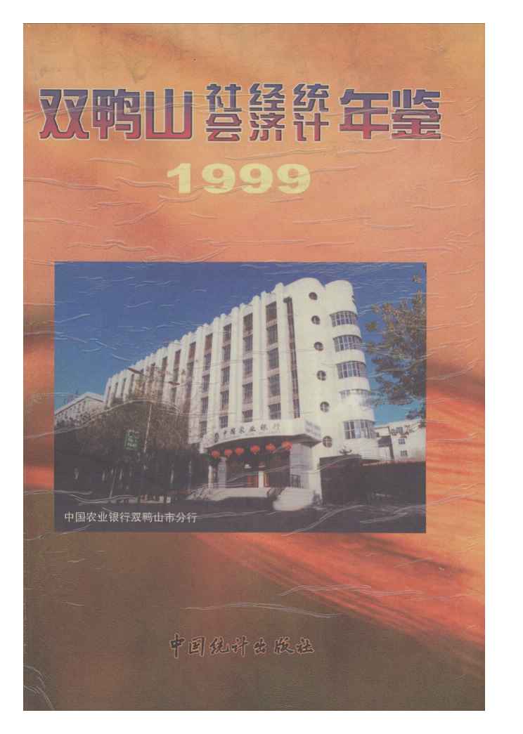 1999年双鸭山社会经济统计年鉴