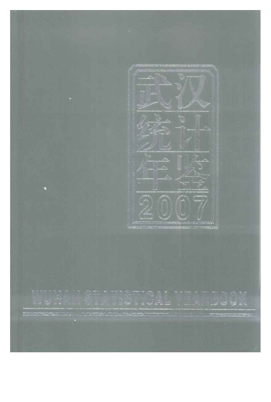 2007年武汉统计年鉴