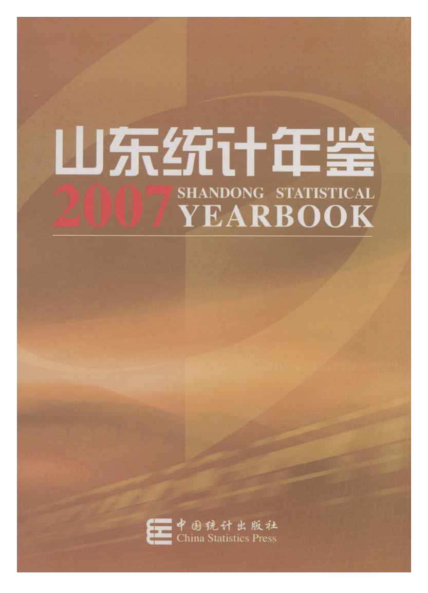 2007年山东统计年鉴