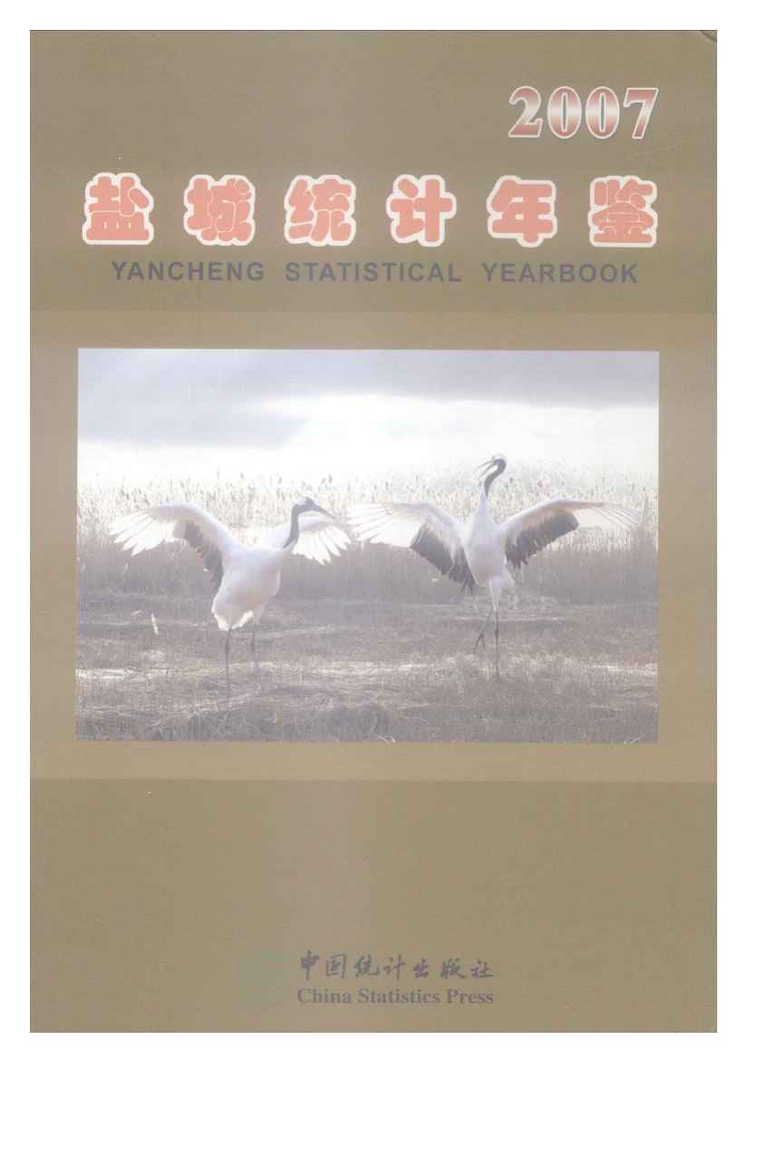 2007年盐城统计年鉴