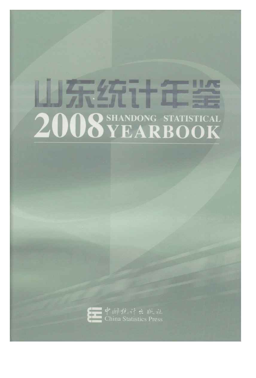 2008年山东统计年鉴
