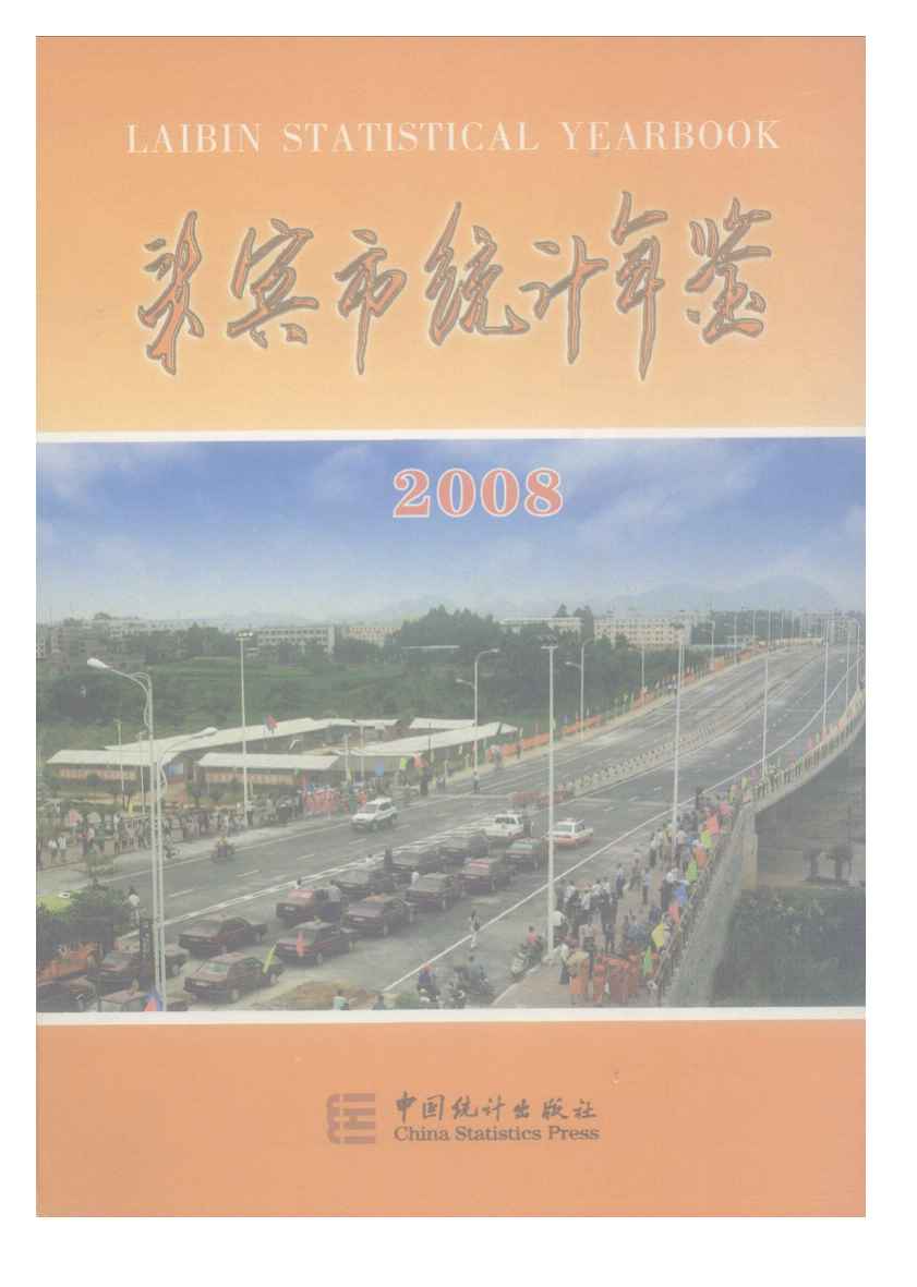 2008年来宾市统计年鉴