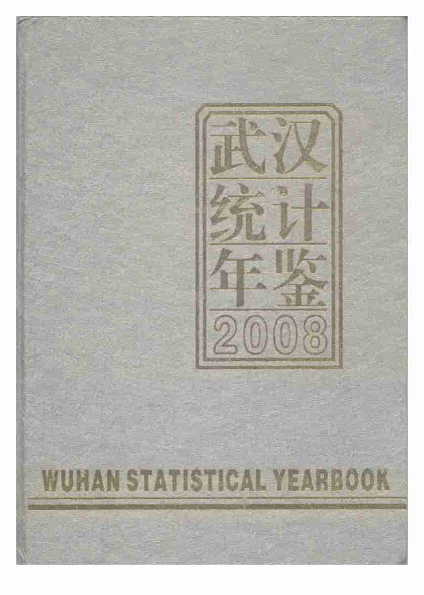 2008年武汉统计年鉴