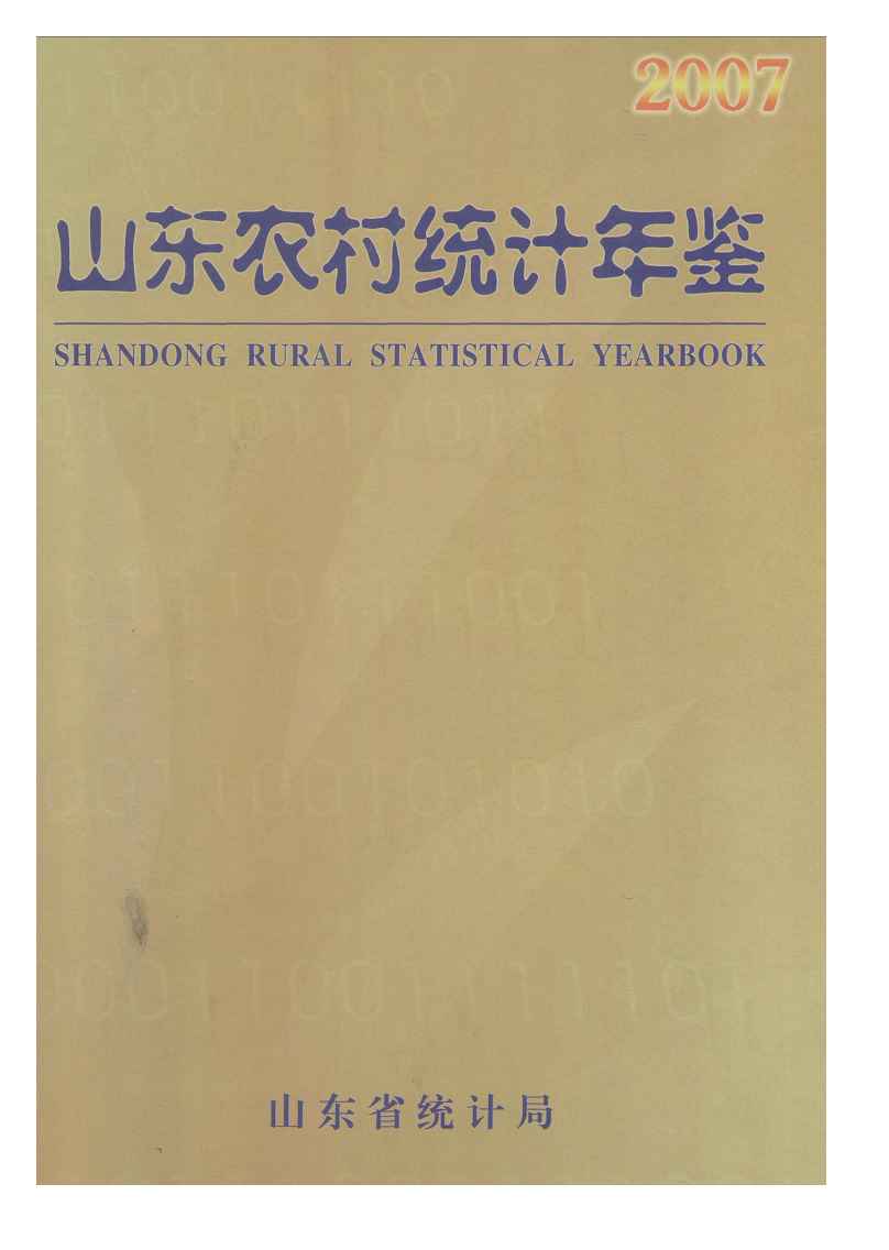 2007年山东农村统计年鉴