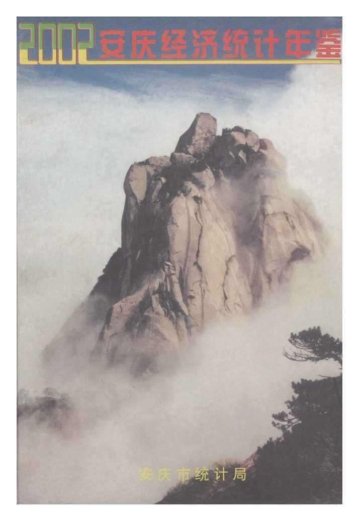 2002年安庆经济统计年鉴