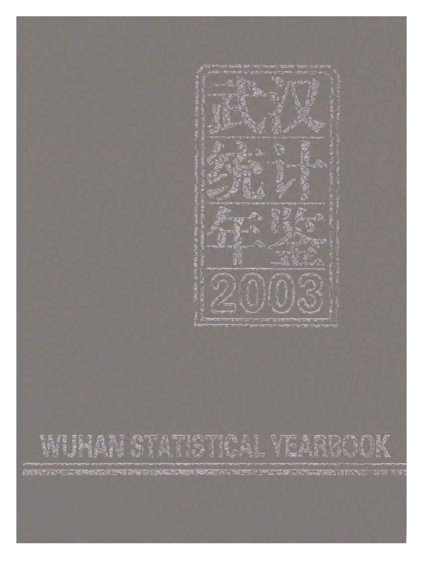 2003年武汉统计年鉴