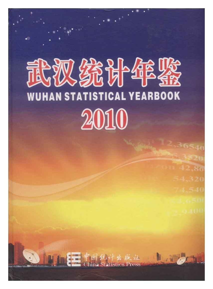 2010年武汉统计年鉴