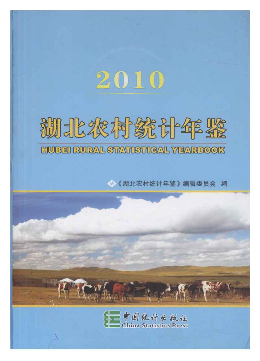 2010年湖北农村统计年鉴
