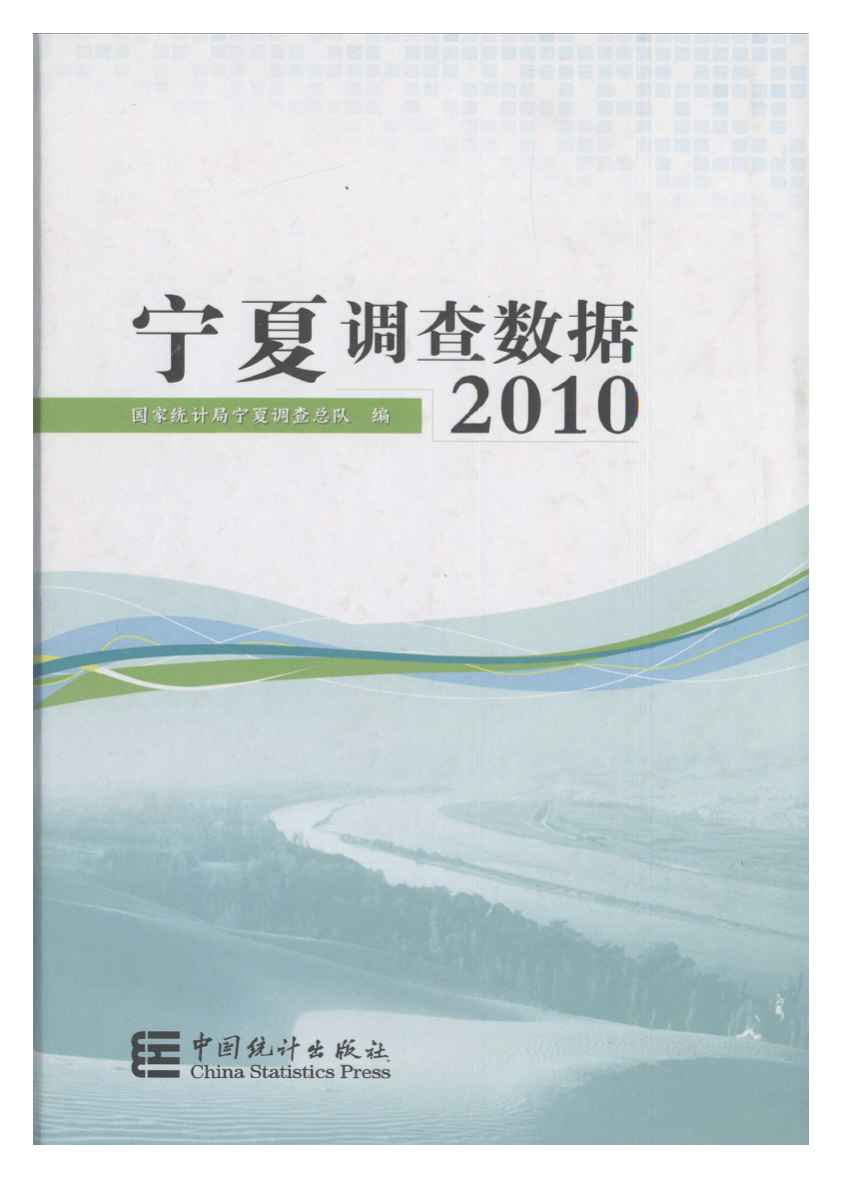 2010年宁夏调查数据