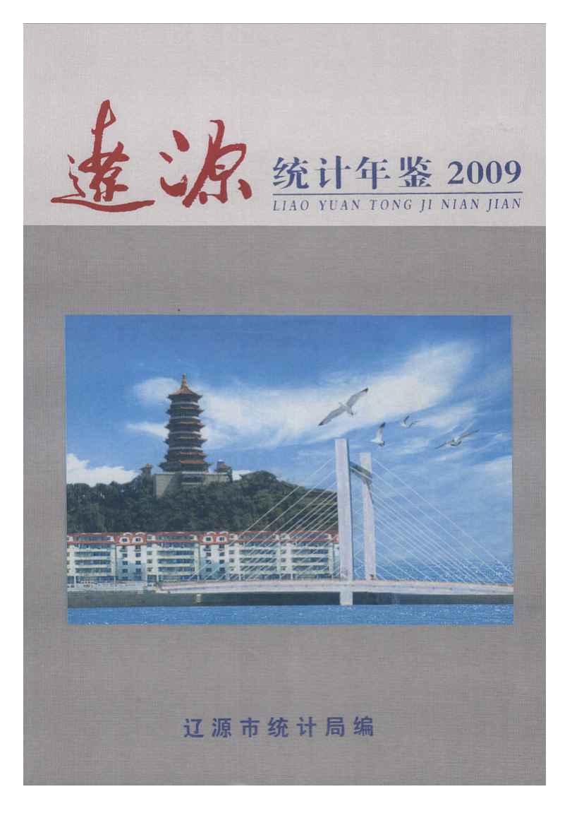 2009年辽源统计年鉴