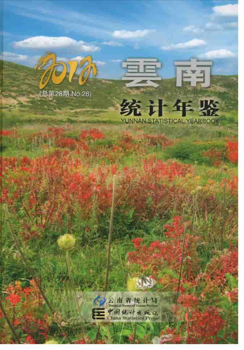 2012年云南统计年鉴