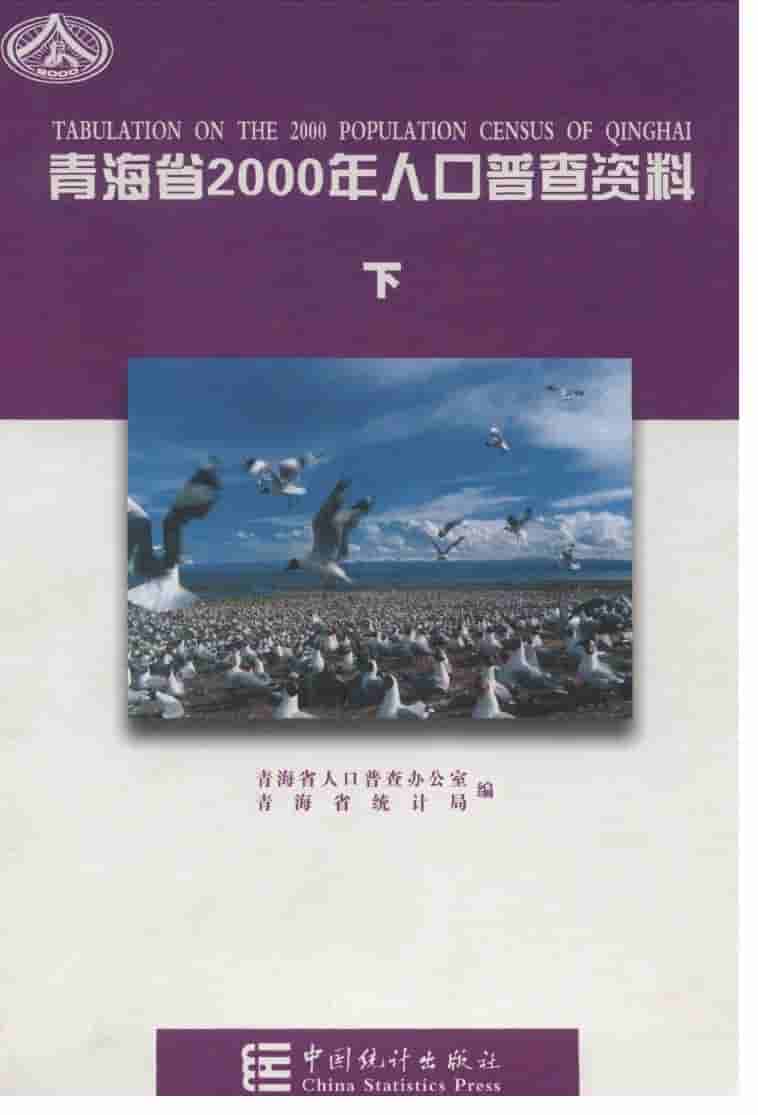 2000年青海省2000年人口普查资料