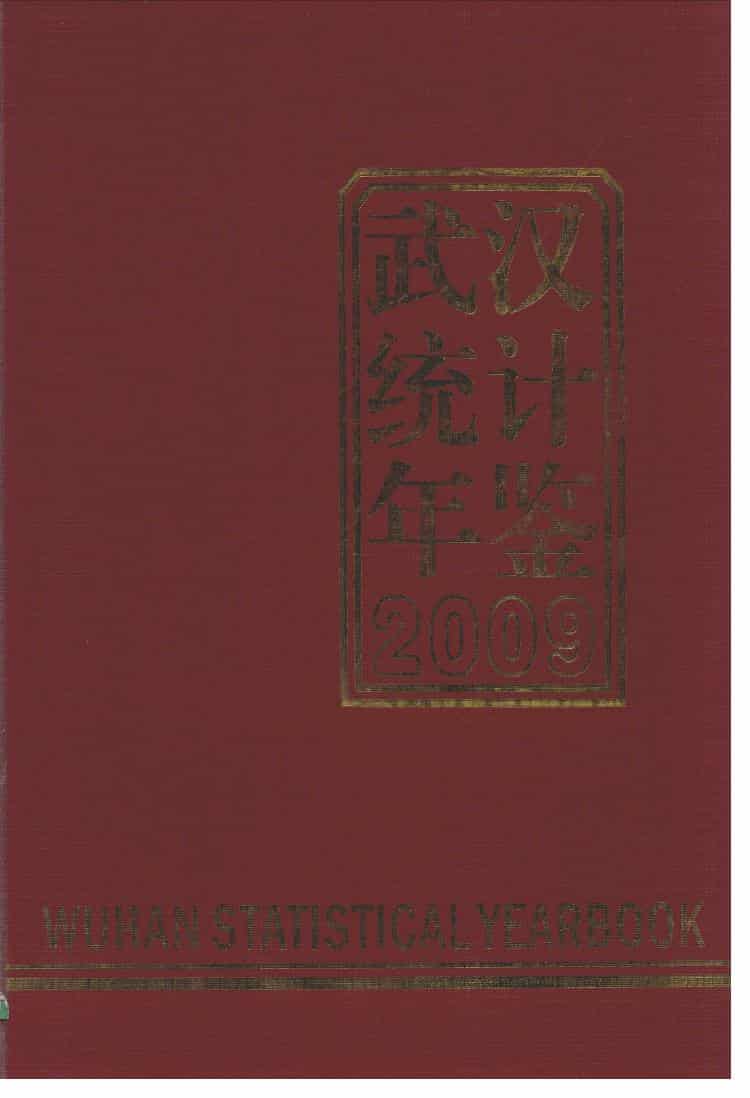2009年武汉统计年鉴
