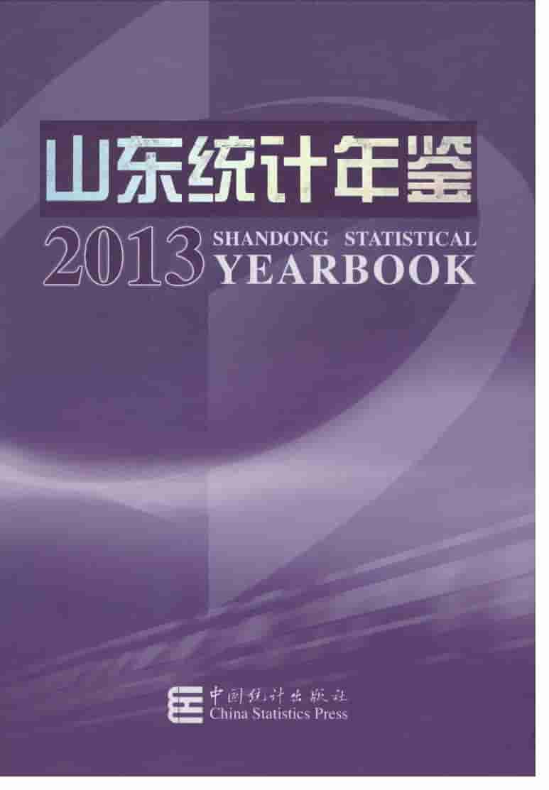 2013年山东统计年鉴