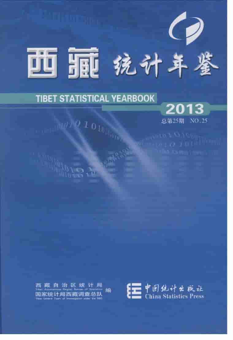 2013年西藏统计年鉴