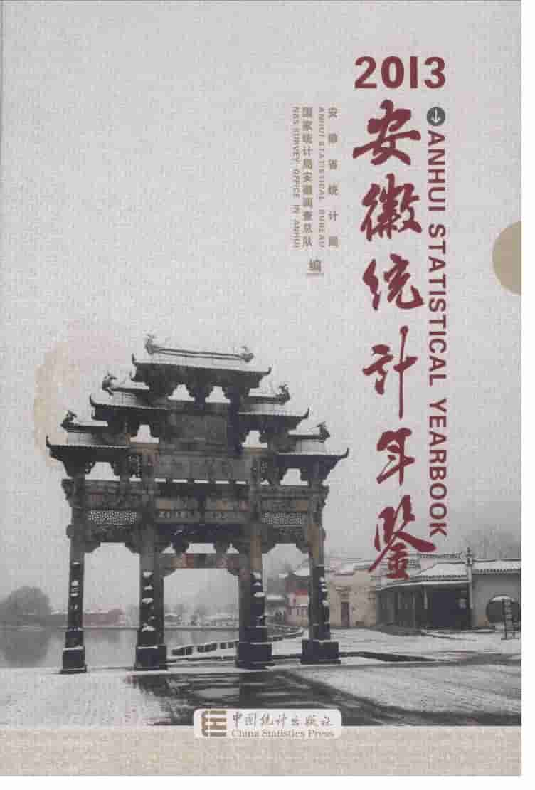 2013年安徽统计年鉴