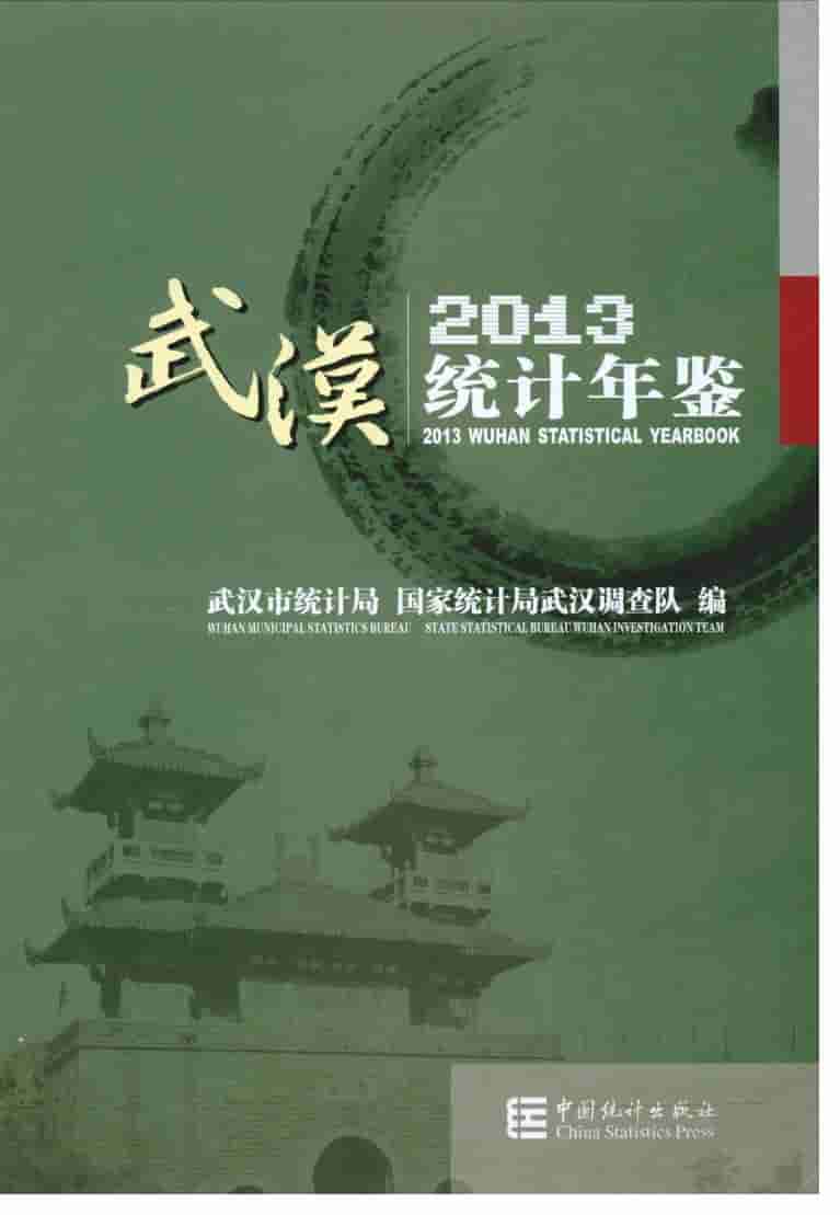 2013年武汉统计年鉴