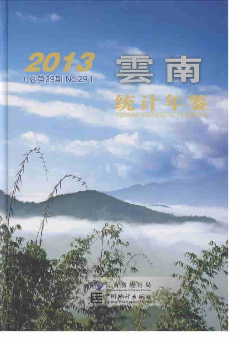 2013年云南统计年鉴