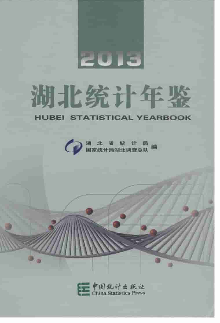 2013年湖北统计年鉴