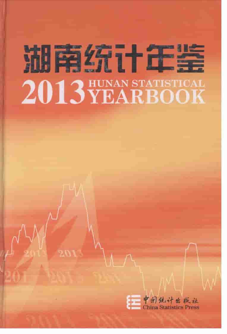 2013年湖南统计年鉴