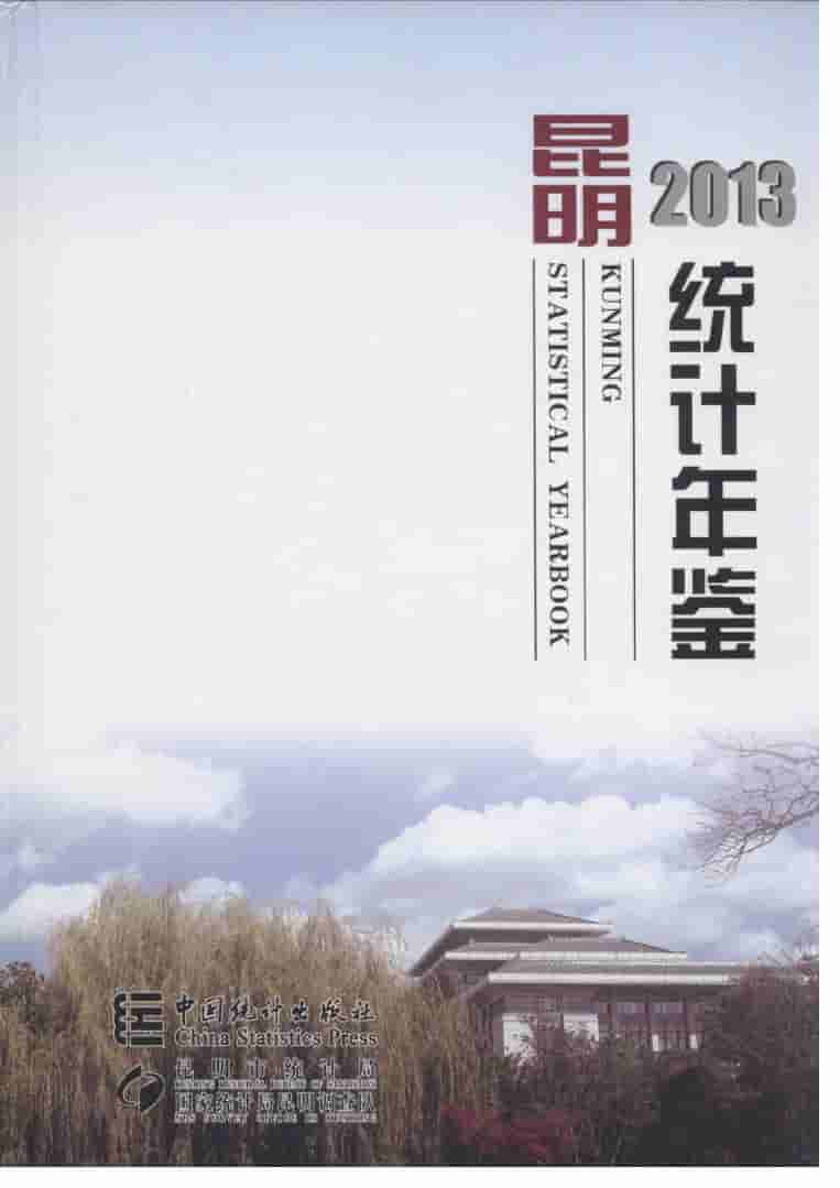 2013年昆明统计年鉴