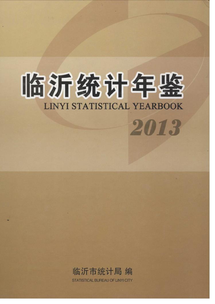 2013年临沂统计年鉴