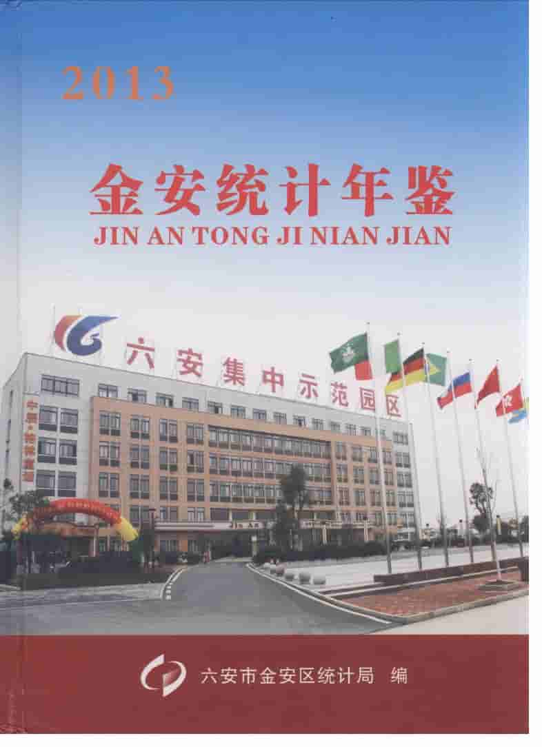 2013年金安统计年鉴
